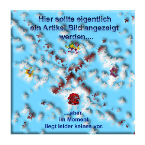 Adapter-Kabel McPower, CEE Stecker Kupplung, je 0,35m, H07RNG 3G2,5, 2er-Set