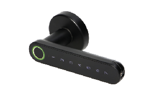 Code-Türdrücker, Touch-Tastatur. PIN-Code, mit Fingerabdruckleser und Bluetooth