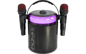 Karaoke-Lautsprecher IBIZA ''KARAHOME'' akkubetrieben, Bluetooth, USB, AUX, Koax